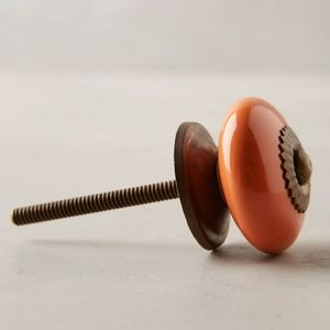 Anthropologie Storage & Organization - NIB Anthropologie Arrondie Knob - Tropical peach Anthropologie Storage & Organization - NIB Anthropologie Arrondie Knob - Tropical peach